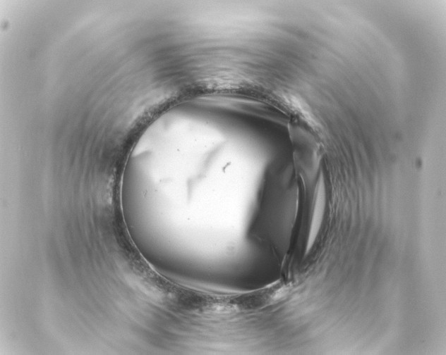 X0000088890543200706221842