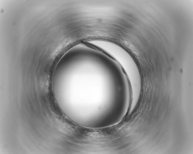 X0000088890544200706221842