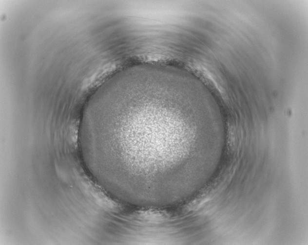 X0000088890545200706221842