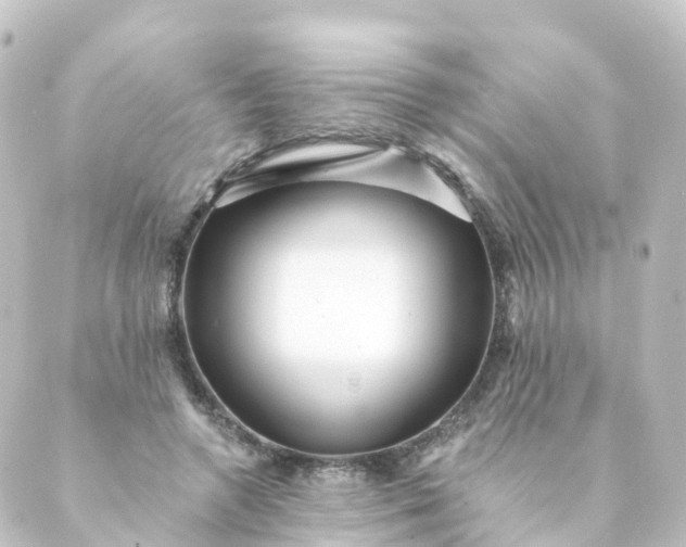 X0000088890546200706221842