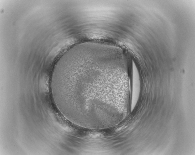 X0000088890547200706221842