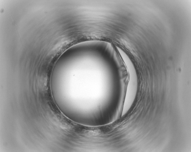 X0000088890548200706221842