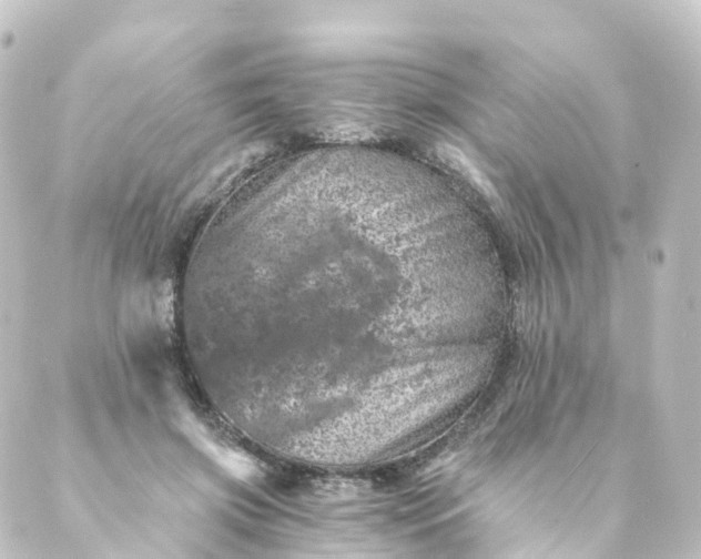 X0000088890549200706221842