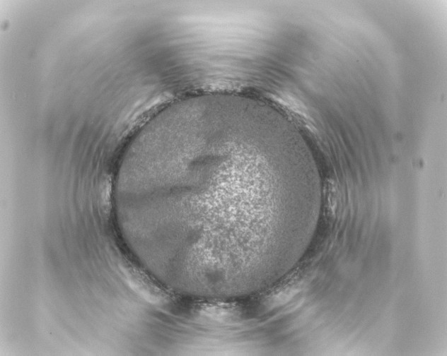 X0000088890550200706221842