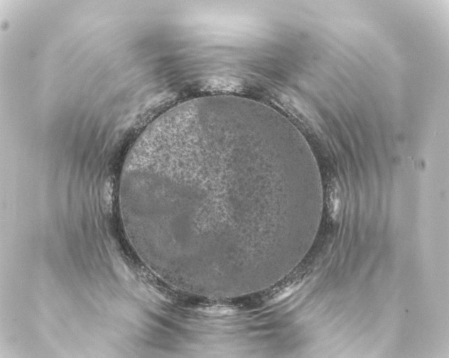 X0000088890551200706221842