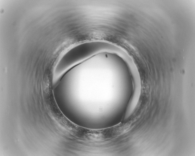 X0000088890552200706221842