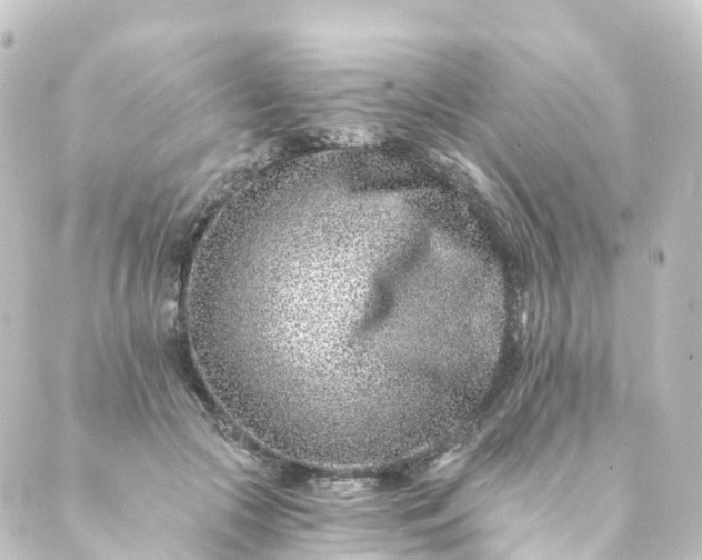 X0000088890553200706221842