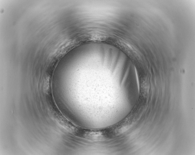 X0000088890554200706221842