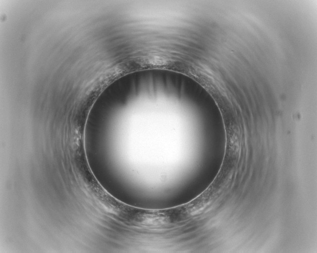 X0000088890555200706221842