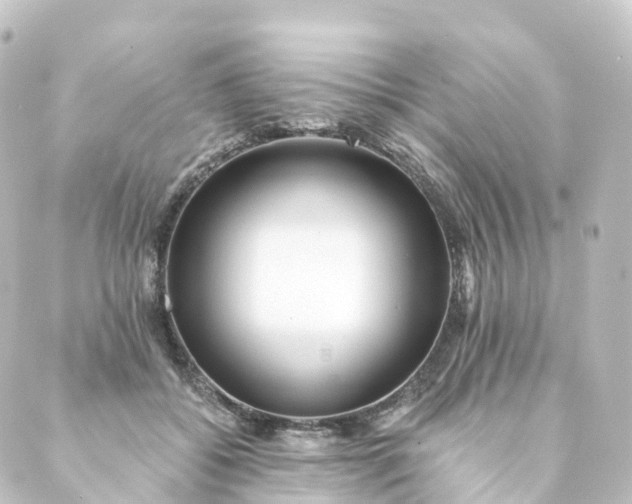 X0000088890556200706221842