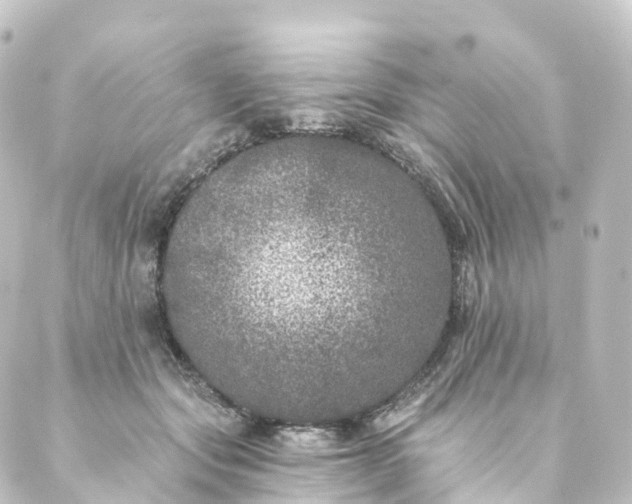 X0000088890557200706221842