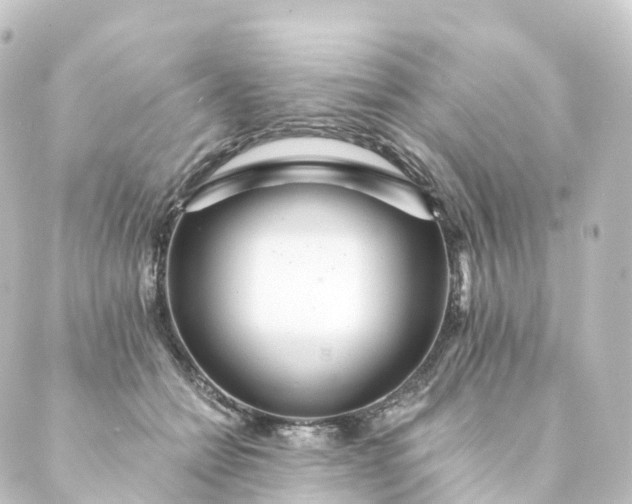 X0000088890558200706221842