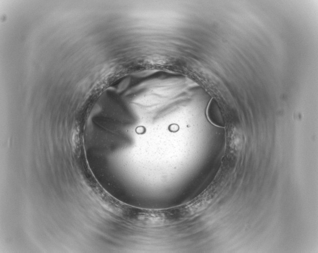 X0000088890559200706221842