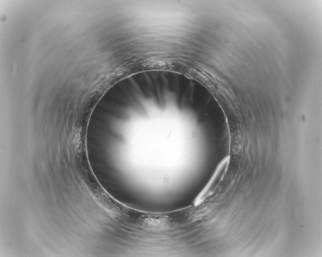 X0000088890560200706221842