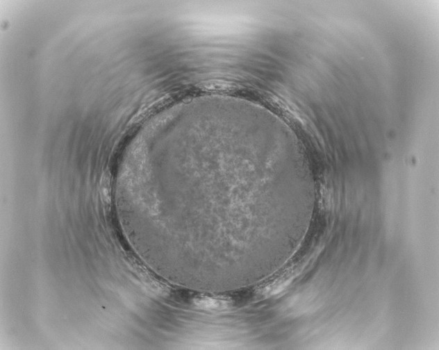 X0000088890561200706221842