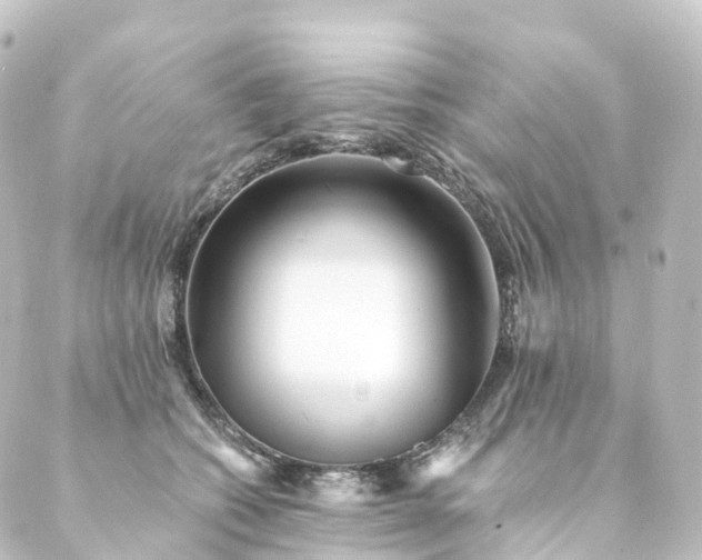 X0000088890562200706221843