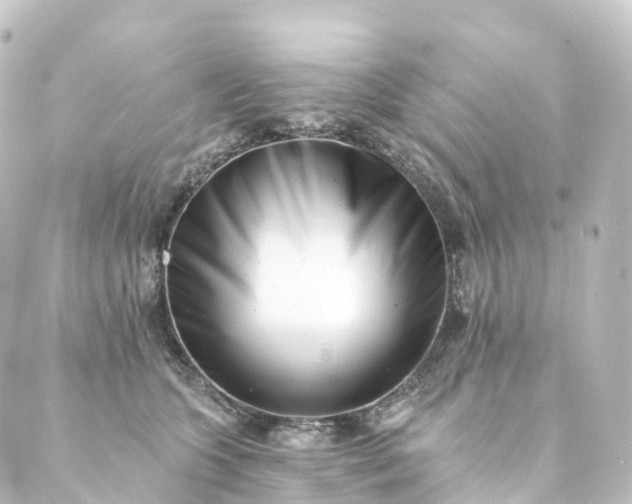 X0000088890563200706221843