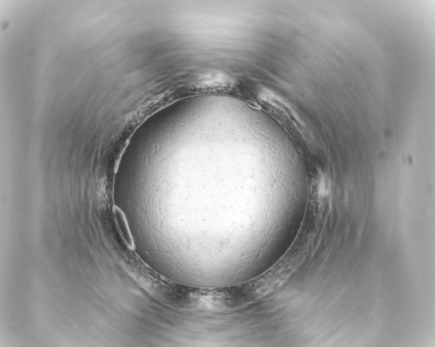 X0000088890564200706221843