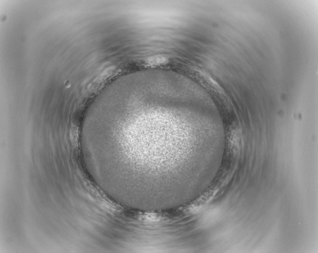 X0000088890565200706221843