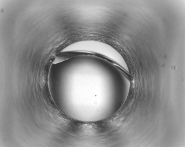 X0000088890566200706221843