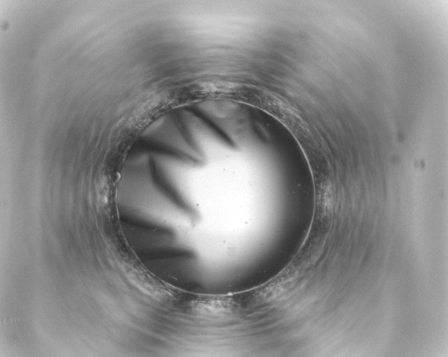 X0000088890567200706221843