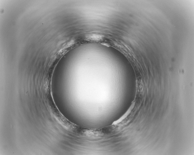 X0000088890568200706221843