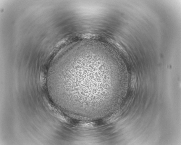 X0000088890569200706221843