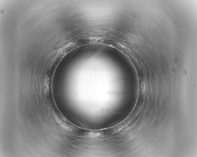 X0000088890570200706221843