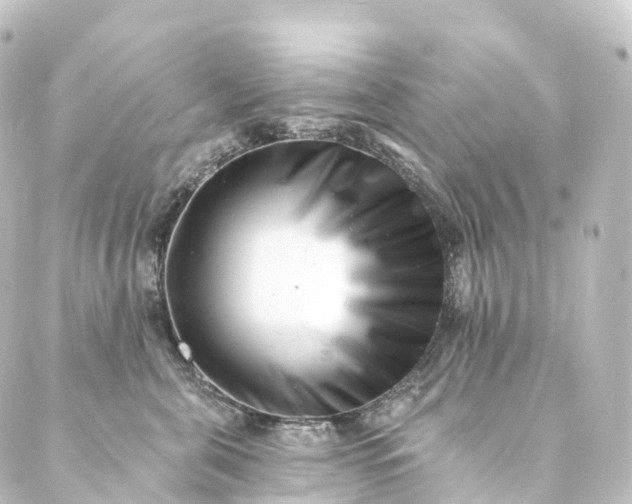 X0000088890571200706221843