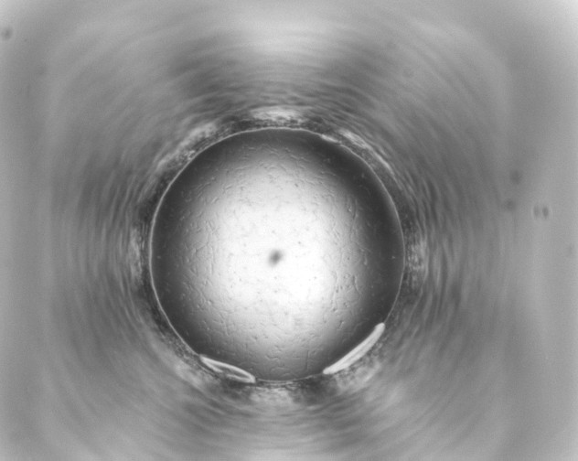 X0000088890572200706221843