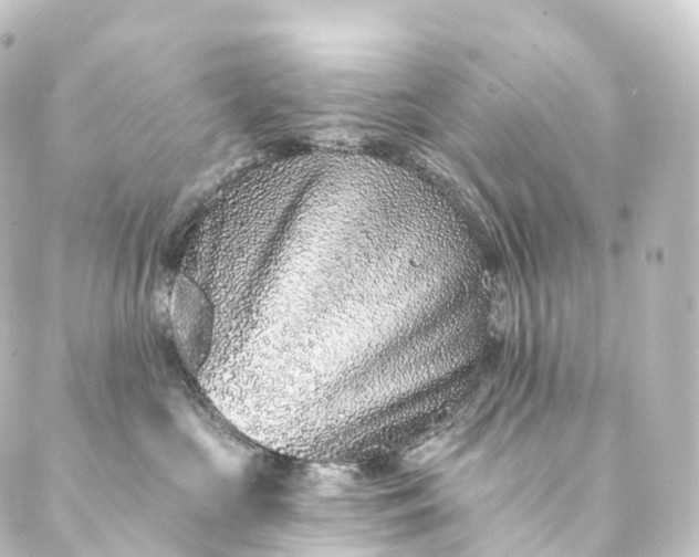 X0000088890573200706221843