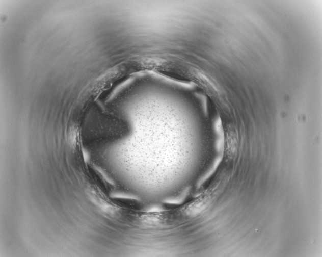 X0000088890574200706221843