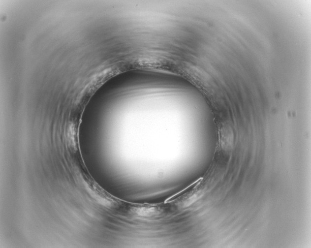 X0000088890575200706221843