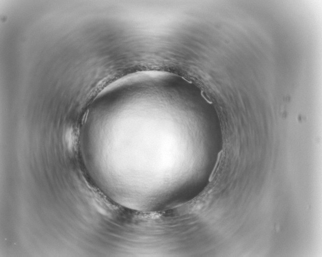 X0000088890576200706221843