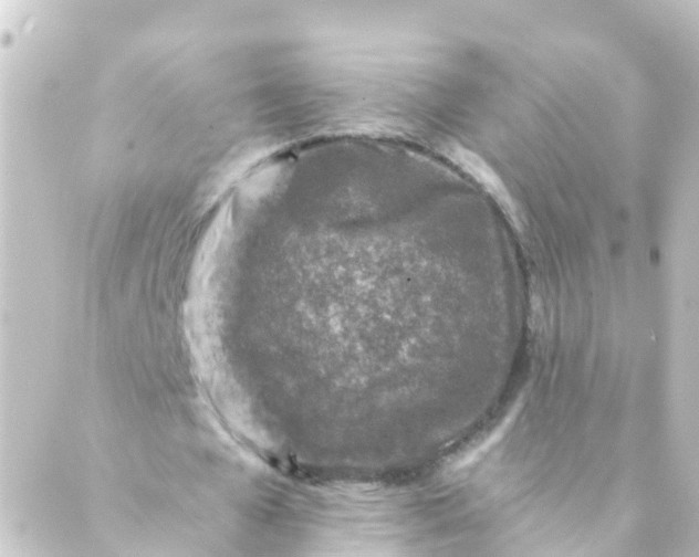 X0000088890577200706221842