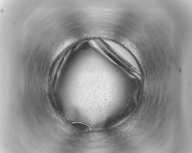 X0000088890578200706221842