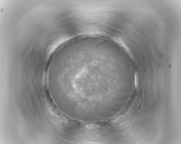 X0000088890579200706221842