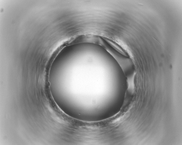 X0000088890580200706221842