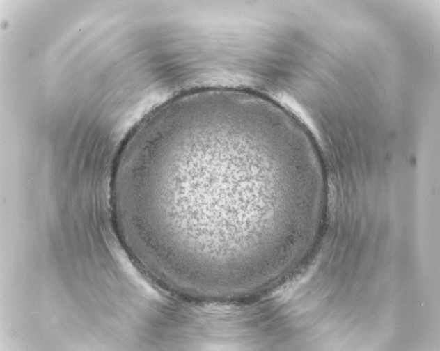 X0000088890581200706221842