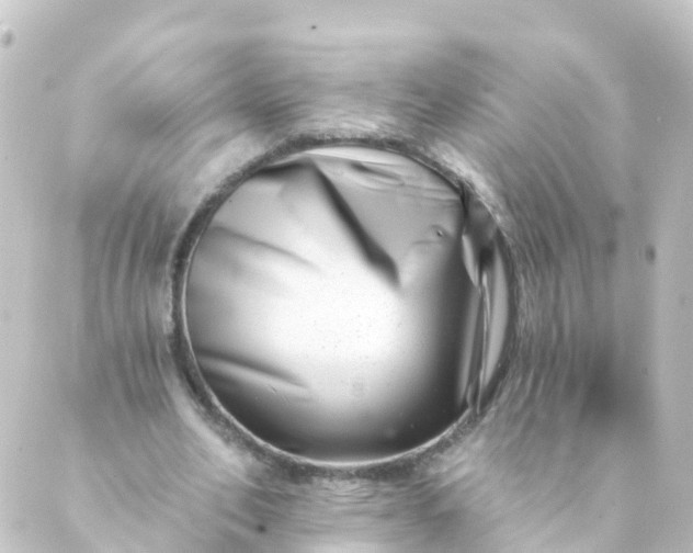 X0000088890582200706221842