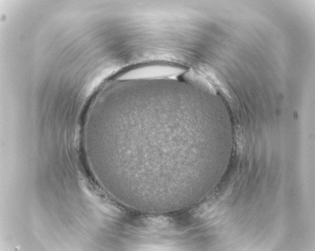 X0000088890583200706221842