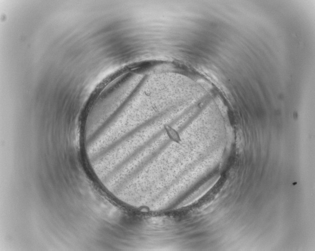 X0000088890584200706221842