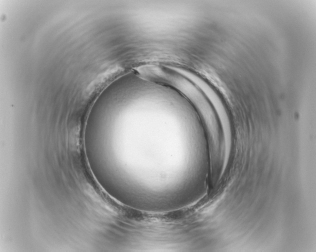 X0000088890585200706221842