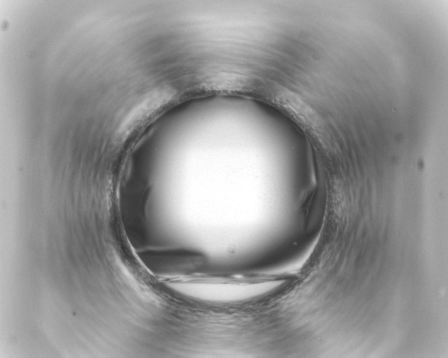 X0000088890586200706221842