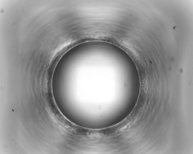 X0000088890587200706221842