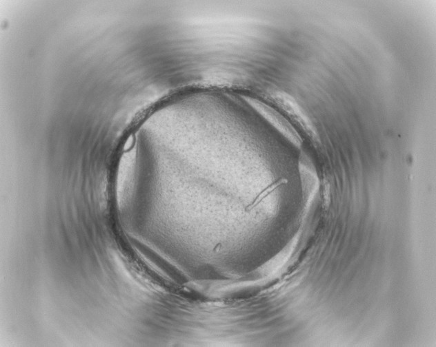 X0000088890588200706221842