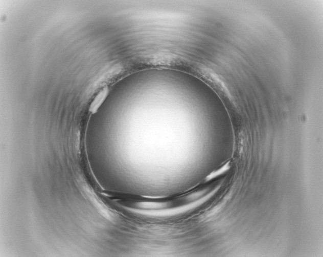 X0000088890589200706221842