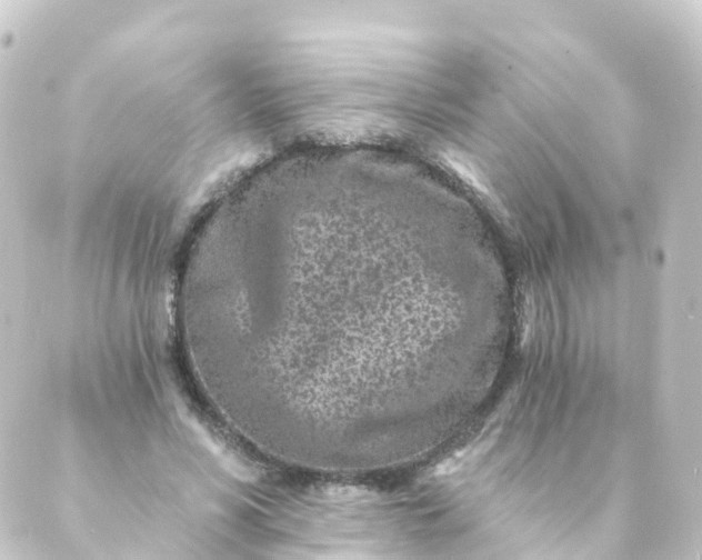 X0000088890590200706221842