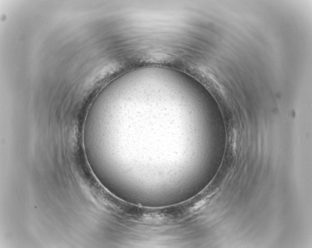 X0000088890591200706221842