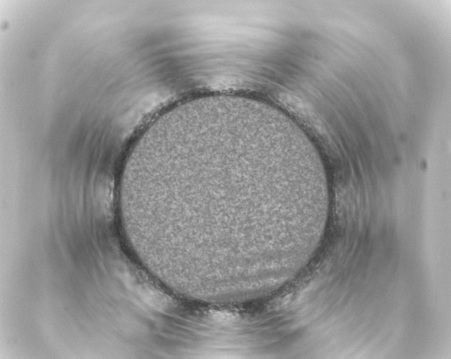 X0000088890592200706221842